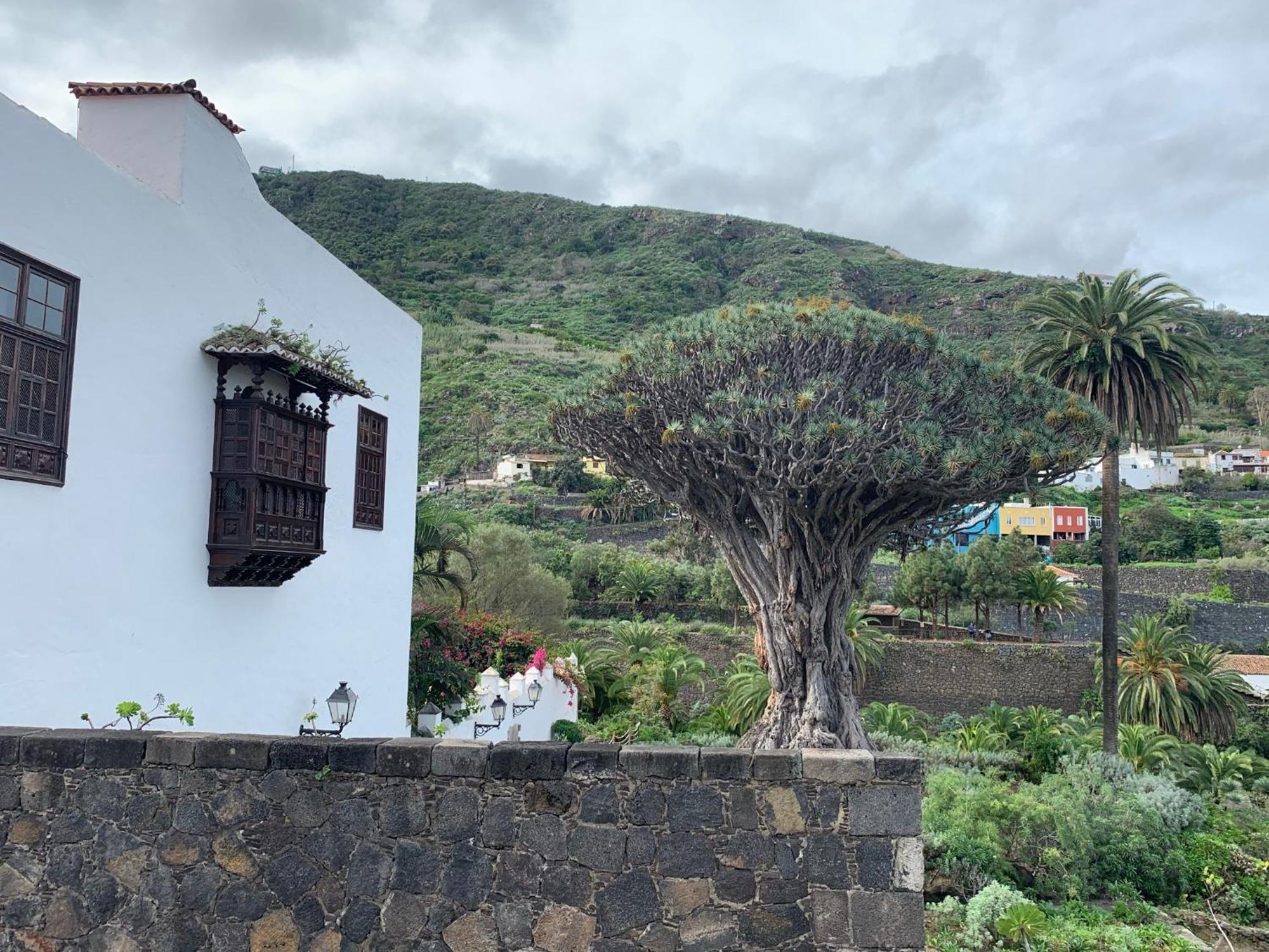 Casa La Baja Vila Garachico  Exterior foto